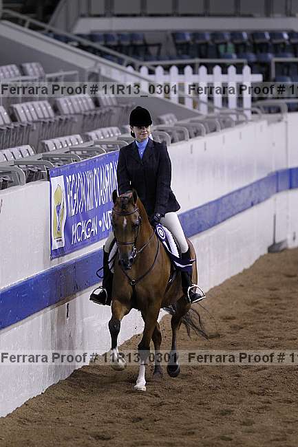 Proof 11r13_0301