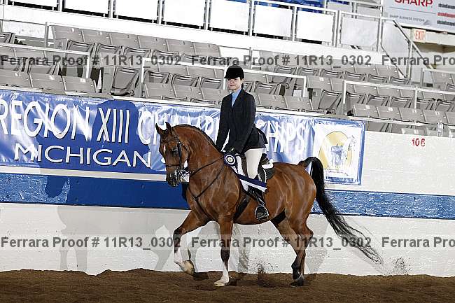 Proof 11r13_0302