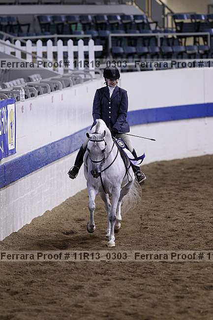 Proof 11r13_0303