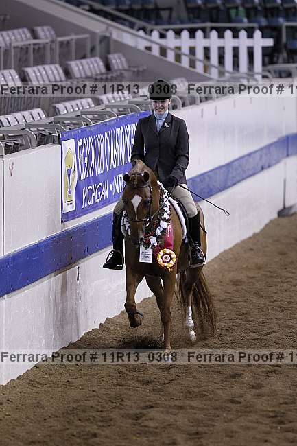 Proof 11r13_0308