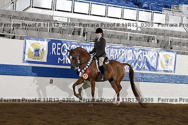 Proof 11r13_0309