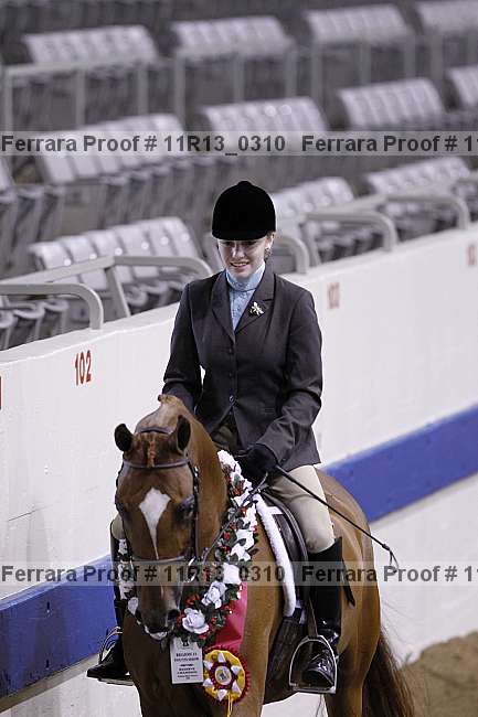Proof 11r13_0310