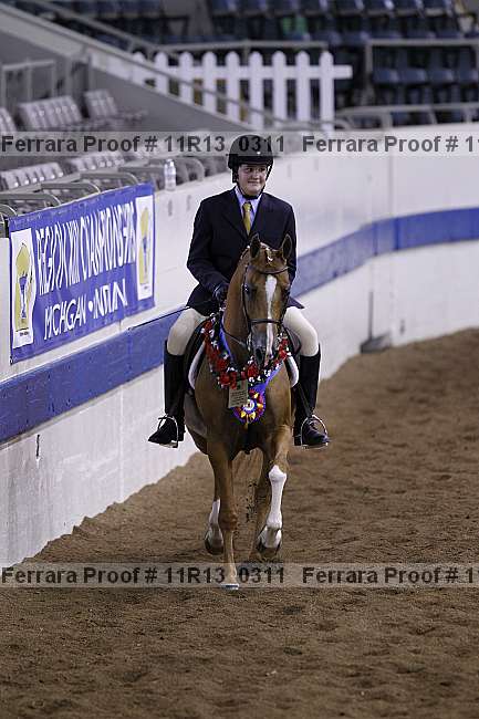 Proof 11r13_0311