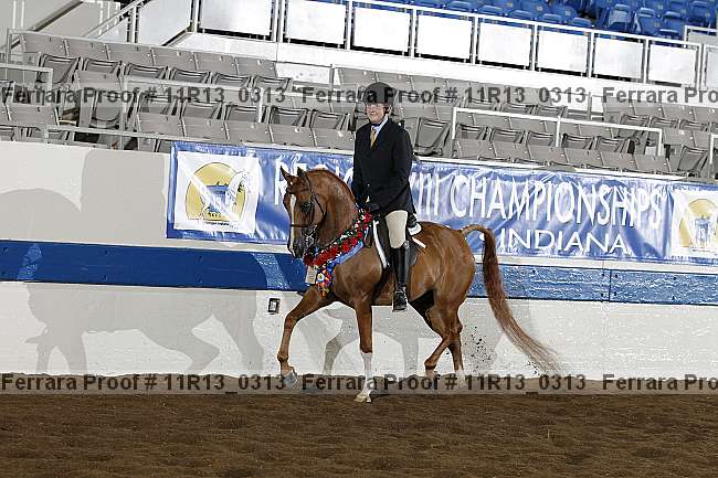 Proof 11r13_0313