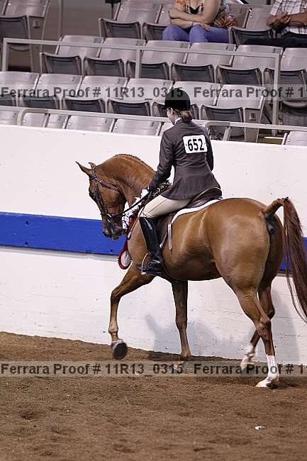 Proof 11r13_0315