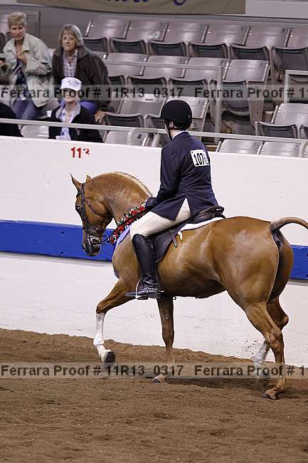Proof 11r13_0317