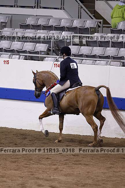 Proof 11r13_0318