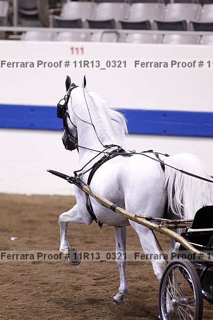 Proof 11r13_0321