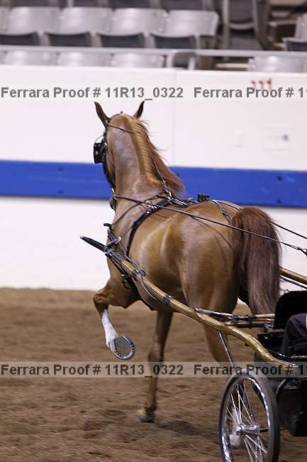 Proof 11r13_0322
