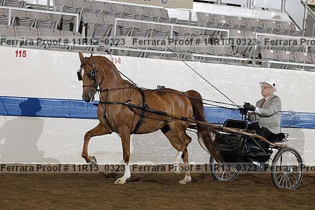 Proof 11r13_0323