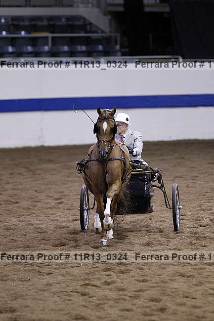 Proof 11r13_0324