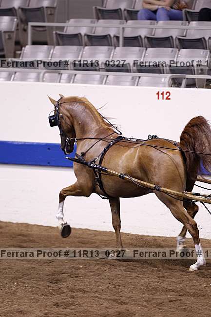 Proof 11r13_0327