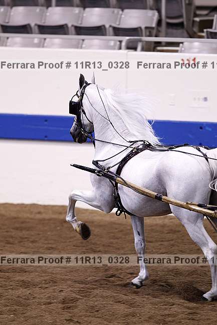 Proof 11r13_0328
