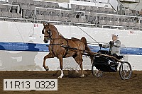 11r13_0329 proof
