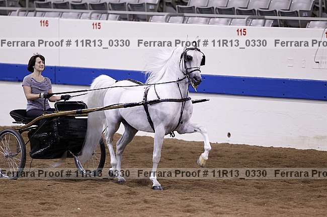 Proof 11r13_0330