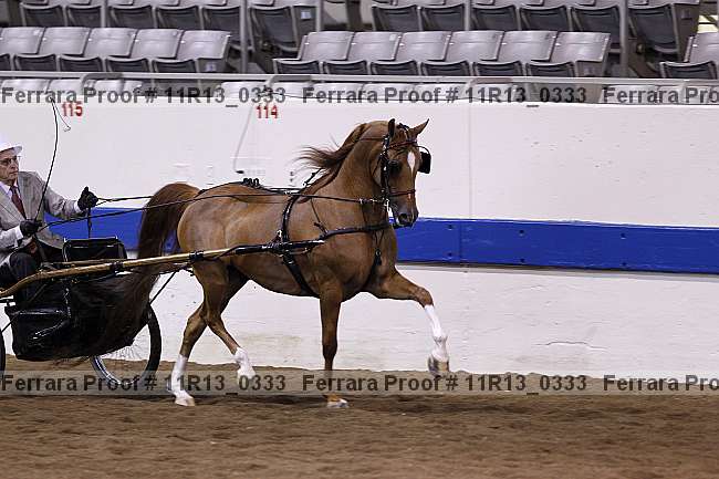 Proof 11r13_0333