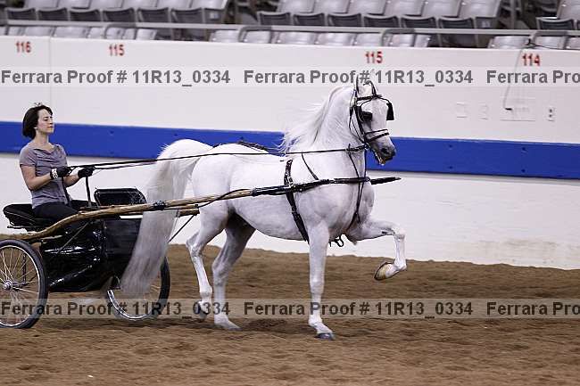 Proof 11r13_0334