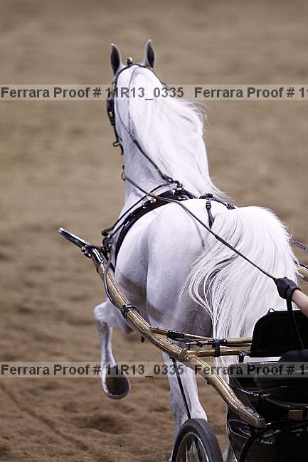 Proof 11r13_0335