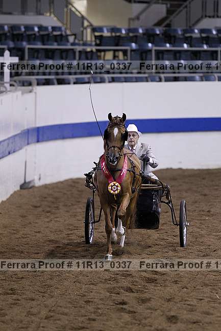 Proof 11r13_0337