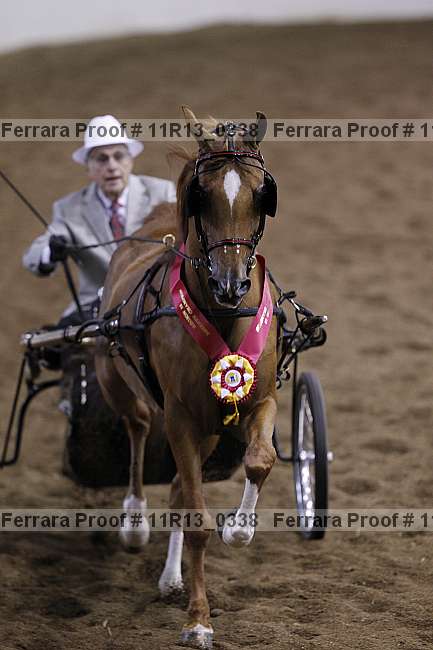 Proof 11r13_0338