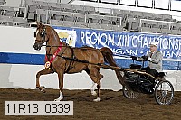 11r13_0339 proof