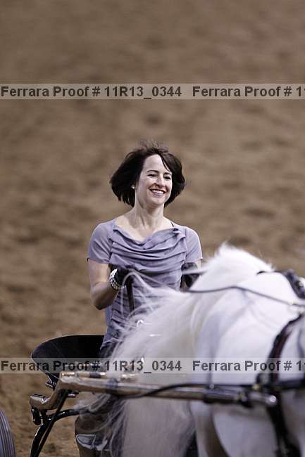 Proof 11r13_0344