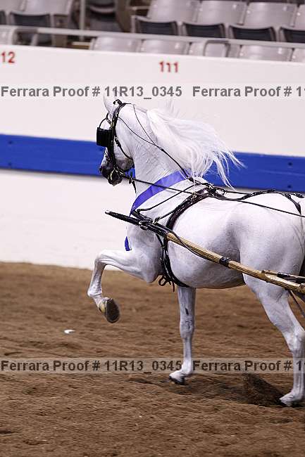 Proof 11r13_0345