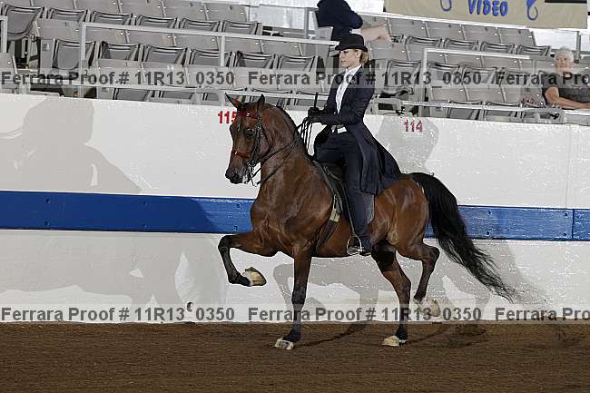 Proof 11r13_0350