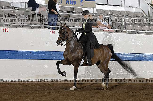 Proof 11r13_0353