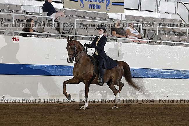 Proof 11r13_0354