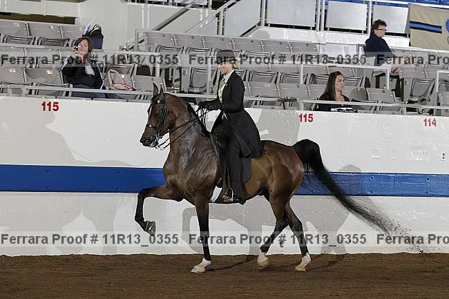 Proof 11r13_0355
