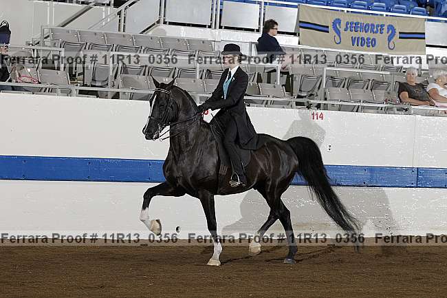 Proof 11r13_0356