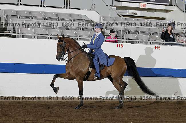 Proof 11r13_0359