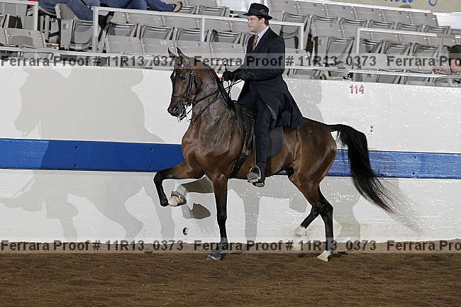 Proof 11r13_0373