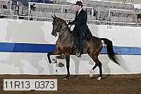 11r13_0373 proof
