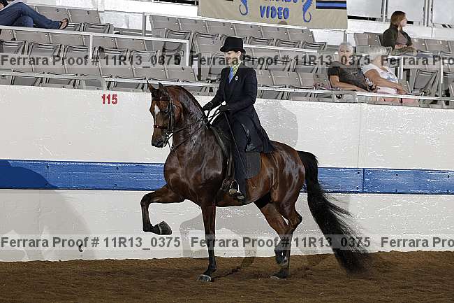 Proof 11r13_0375