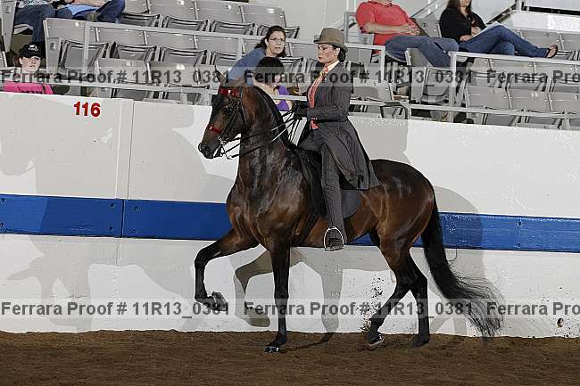 Proof 11r13_0381