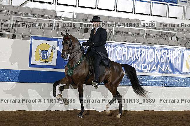 Proof 11r13_0389