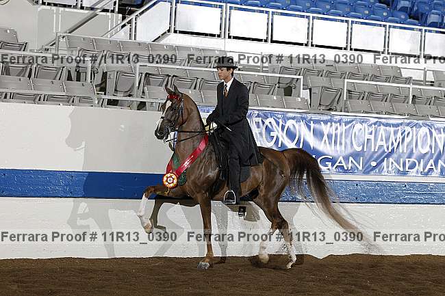 Proof 11r13_0390