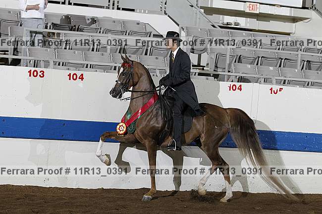 Proof 11r13_0391