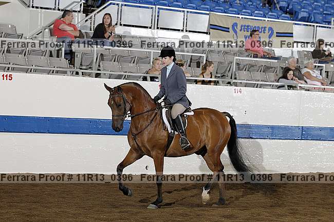 Proof 11r13_0396