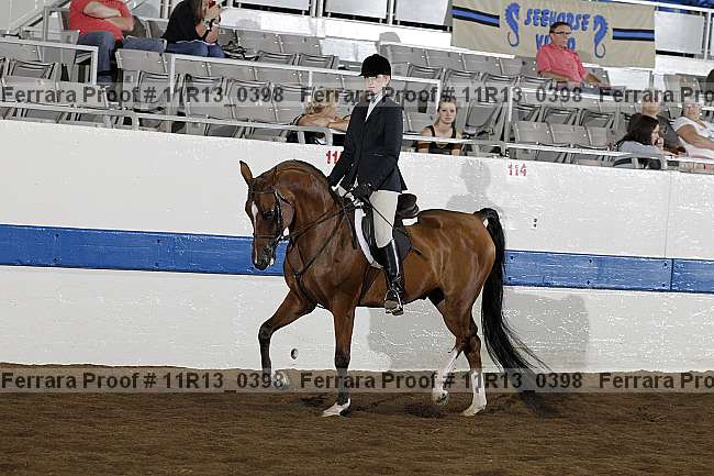 Proof 11r13_0398