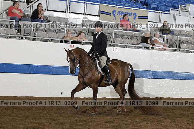 Proof 11r13_0399