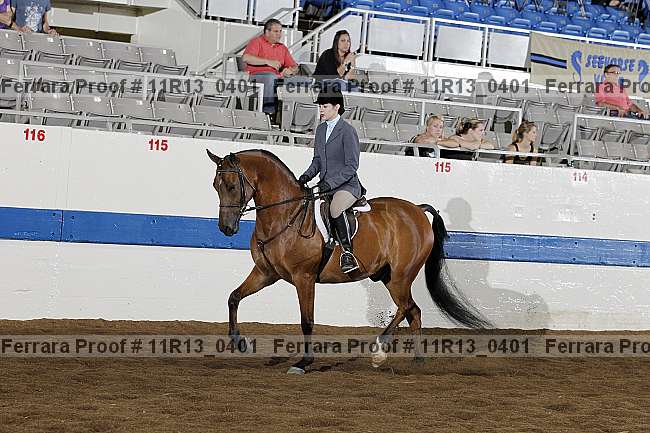 Proof 11r13_0401