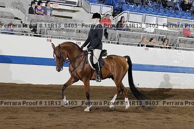 Proof 11r13_0403
