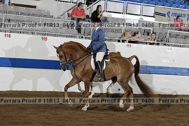 Proof 11r13_0406