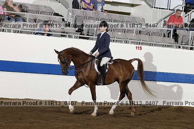 Proof 11r13_0407