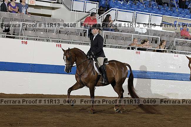 Proof 11r13_0409