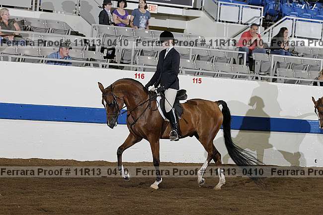 Proof 11r13_0410
