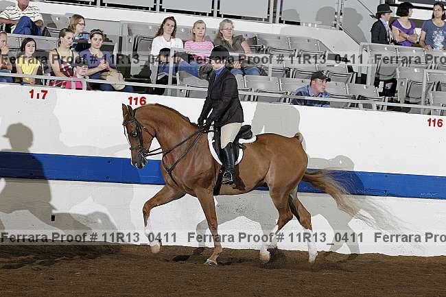 Proof 11r13_0411